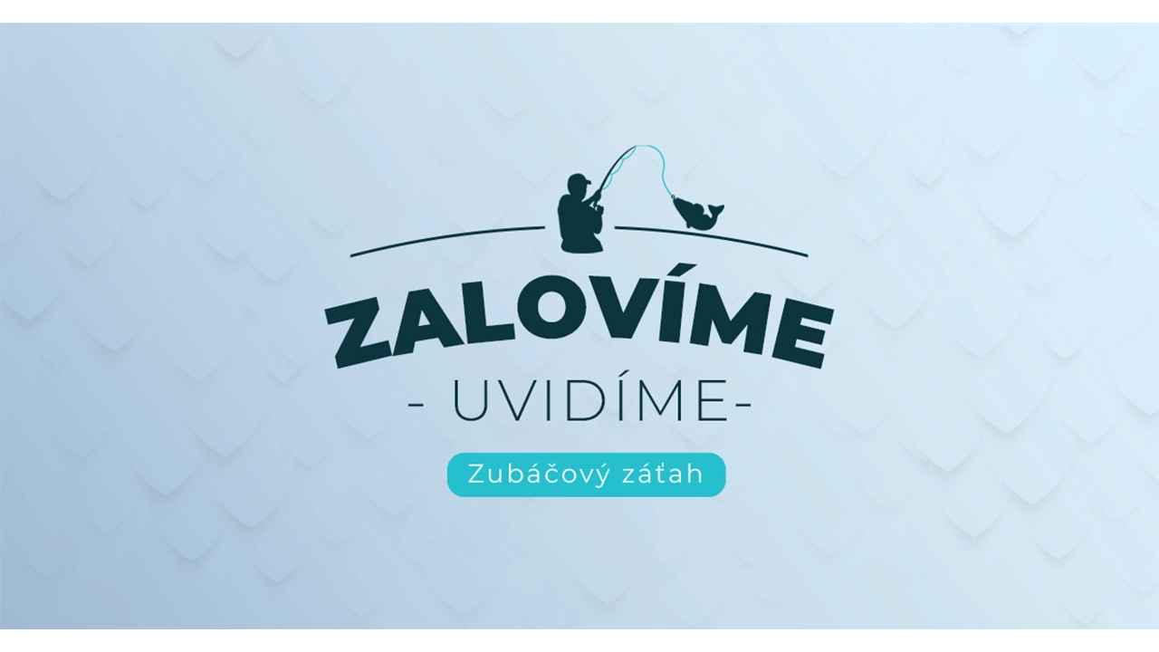 Zubáčový záťah – pretek dvojíc z brehu Šírava